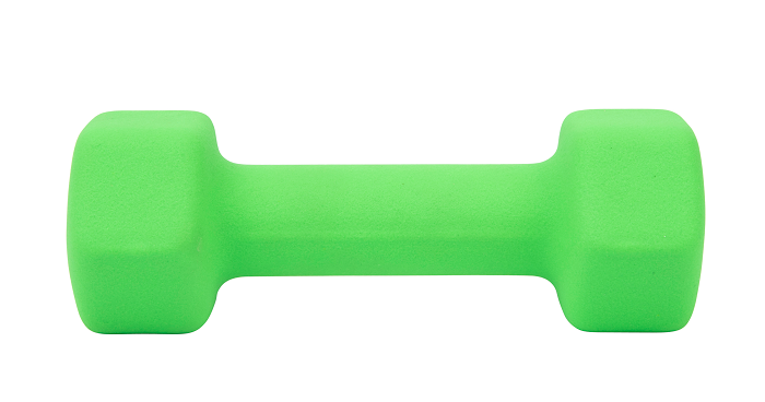 Everlast Hand Weights