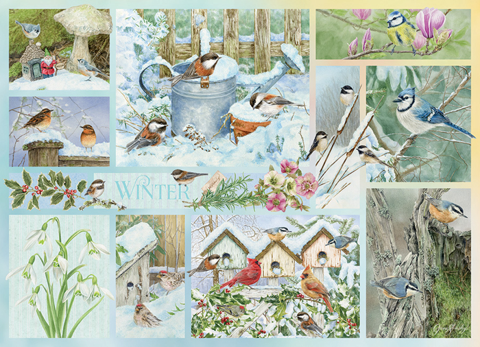 Cobble Hill Garden Birds in Winter