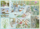 Cobble Hill Garden Birds in Winter