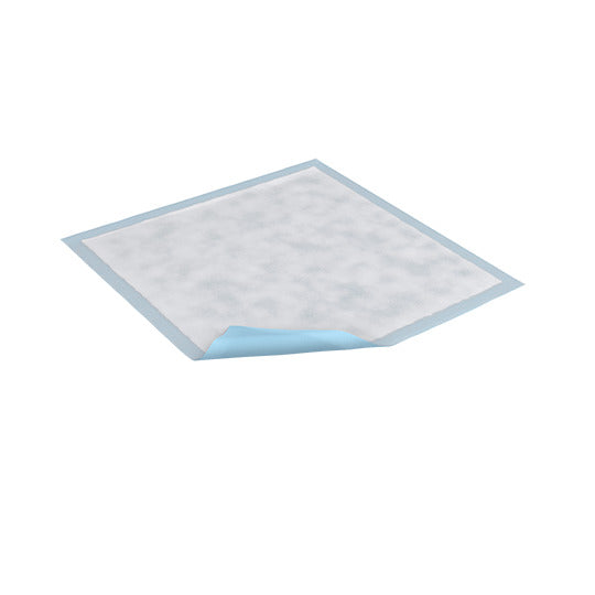 TENA Underpads, 25 Count - Incontinence/Furniture Protection - TENA - Regular - 768702003506